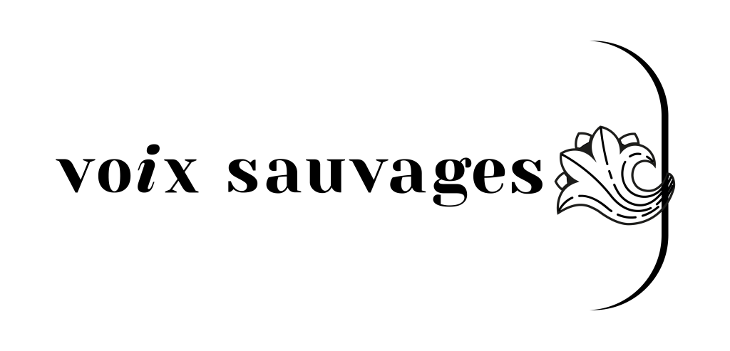 logohorizon,oirtrans_Plan de travail 1